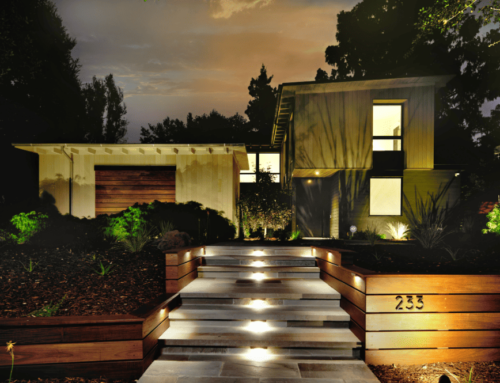 Enhance the Ambiance of Your Garden at Night