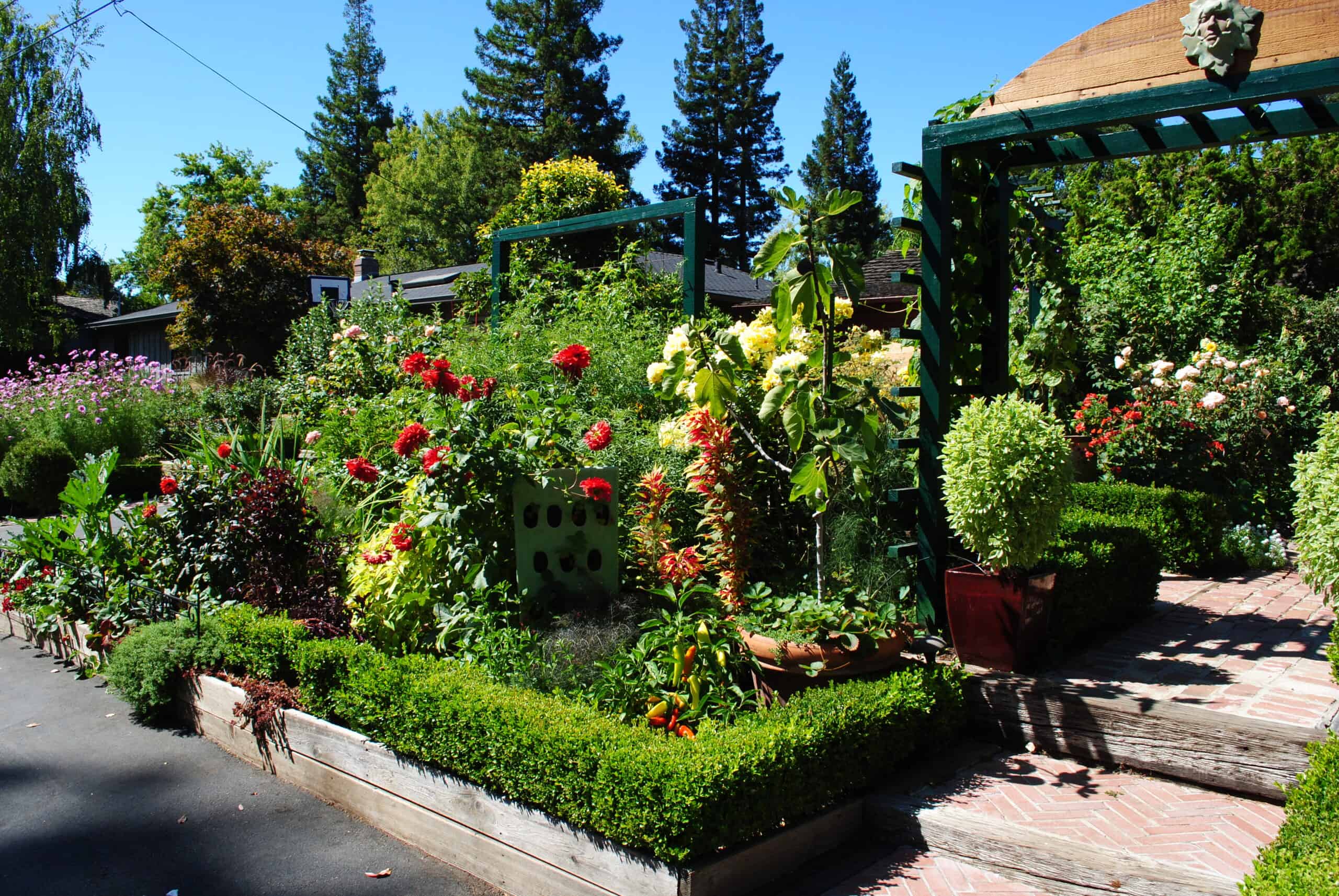 Cultivating Food in Your Own Back or Frontyard