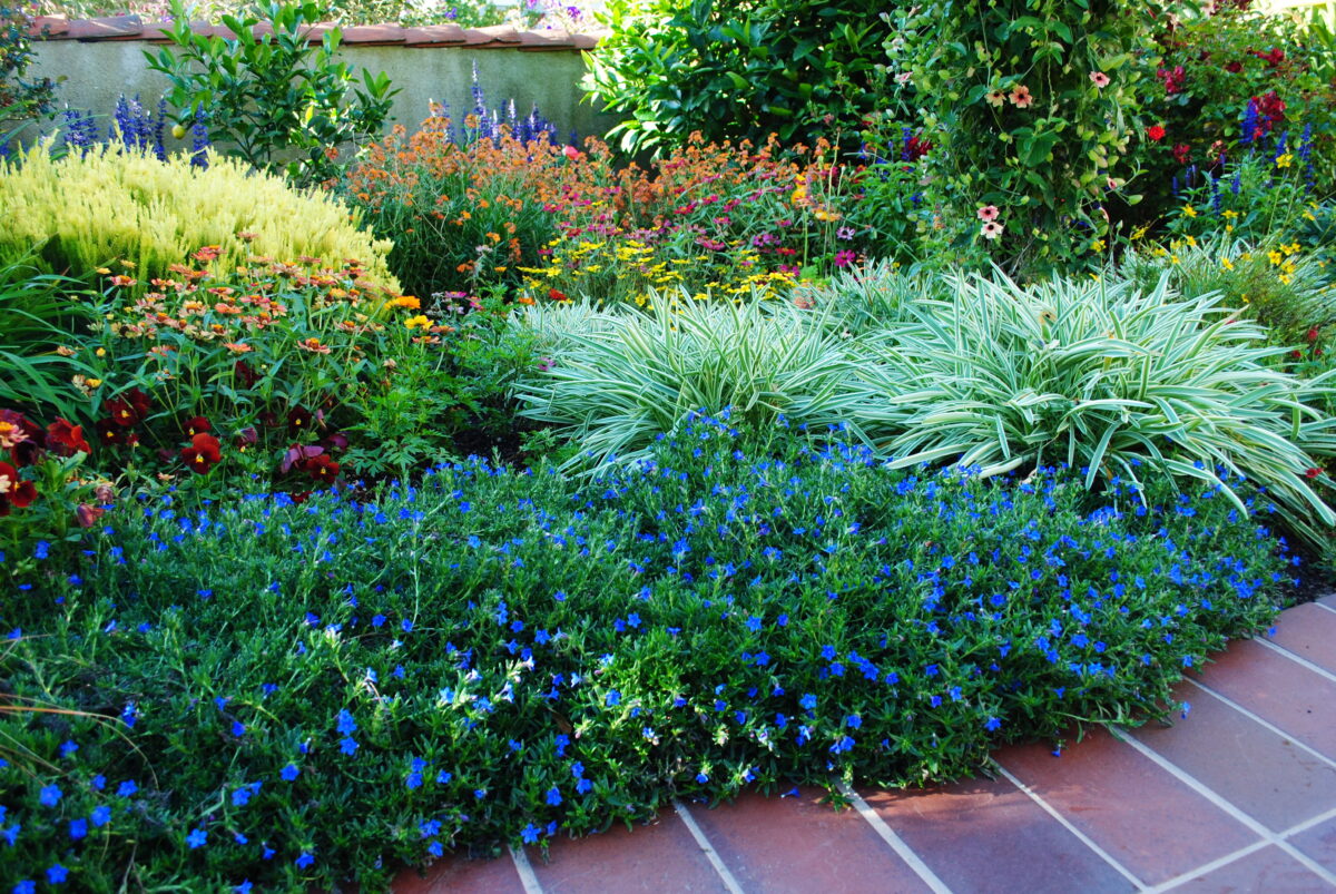 The Power of Color in Landscape Design: Creating Vibrant Outdoor Spaces ...